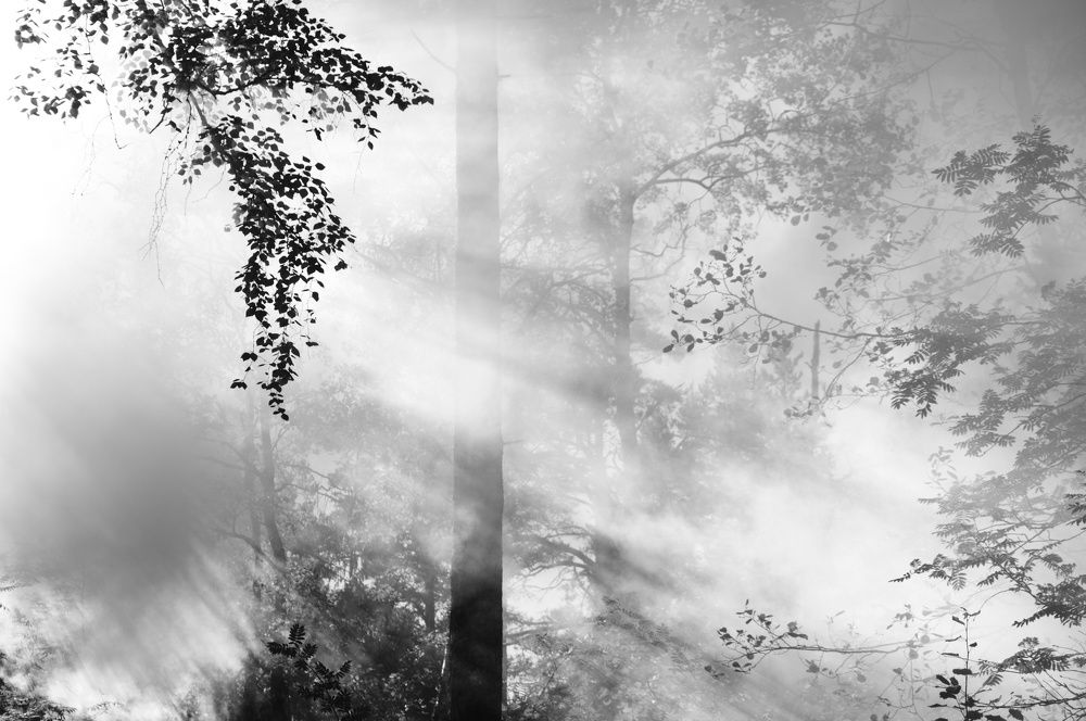 Photograph by Юля