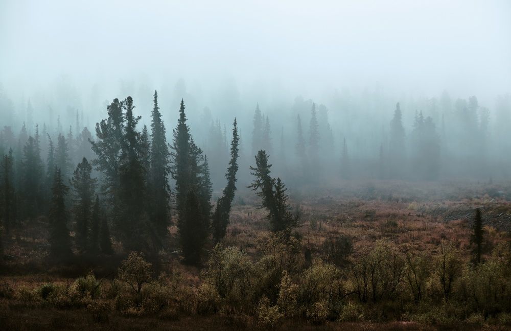 Photograph by Юля