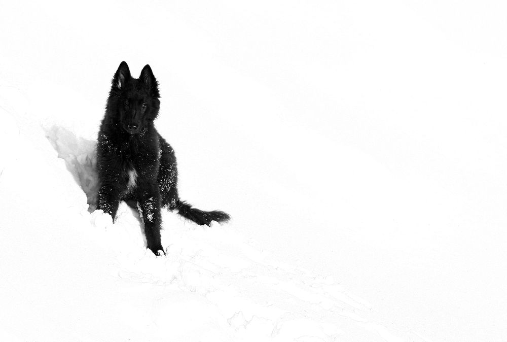 Фотография автора Надежда Лисицына