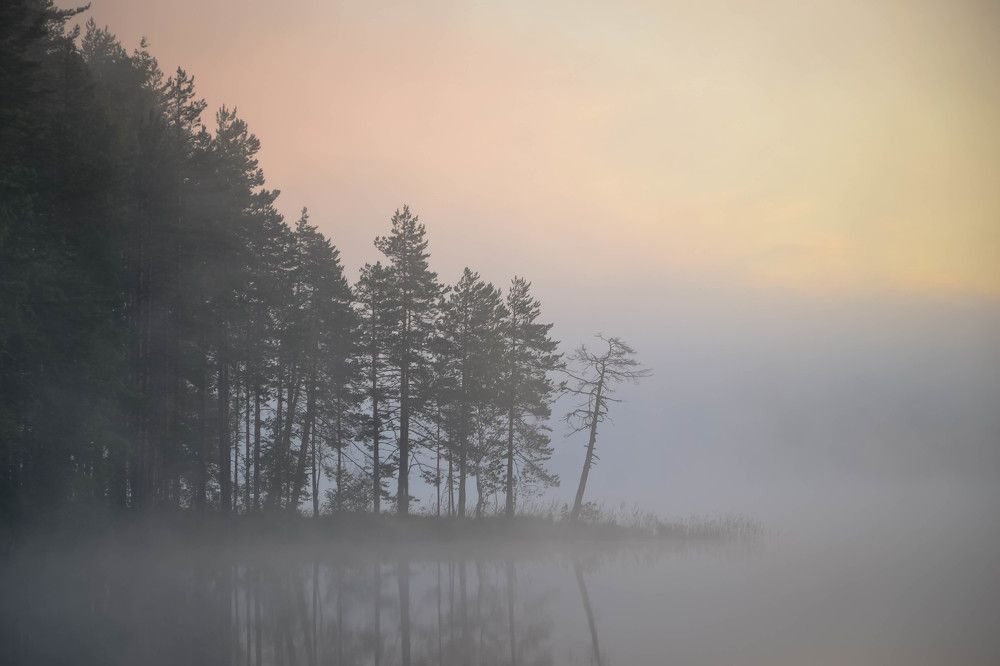 Photograph by Андрей Епишев