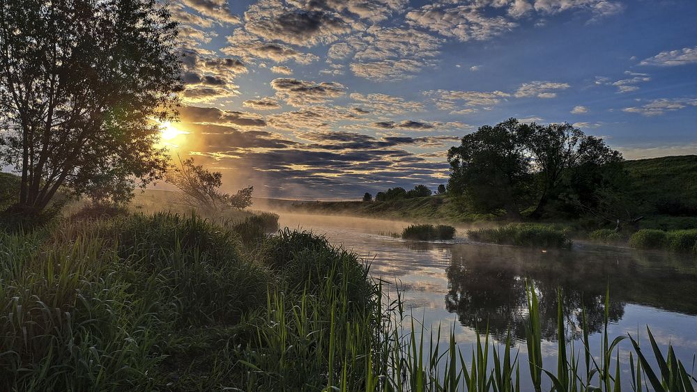 Photograph by Михаил Беляев