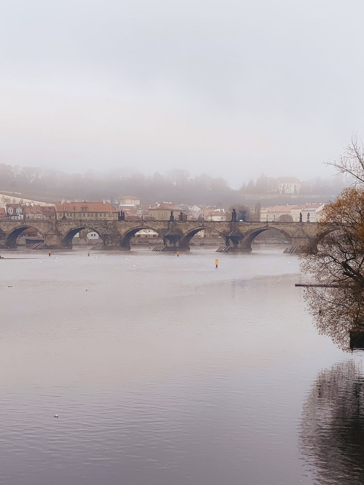 Photograph by Yana Ofitserova