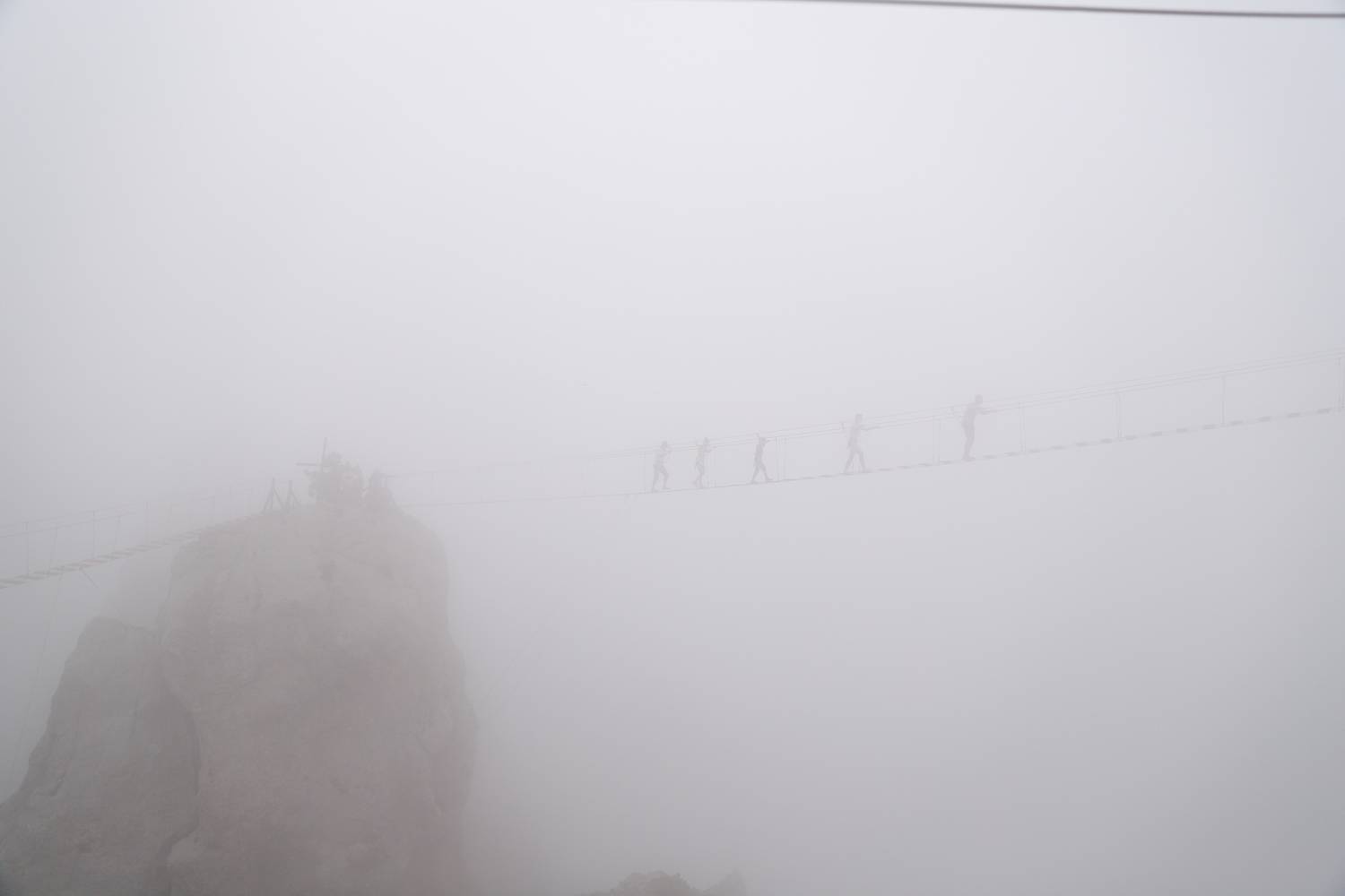 Photo #9164401