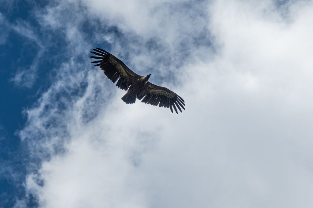 Photograph by Виталий Маслов