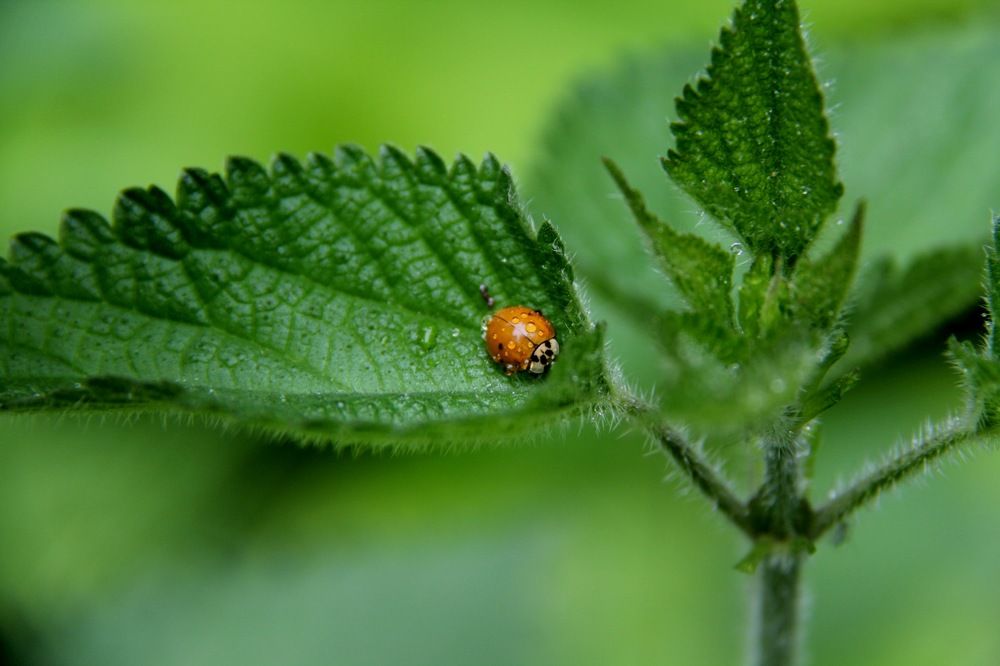 Photograph by Марина Салова