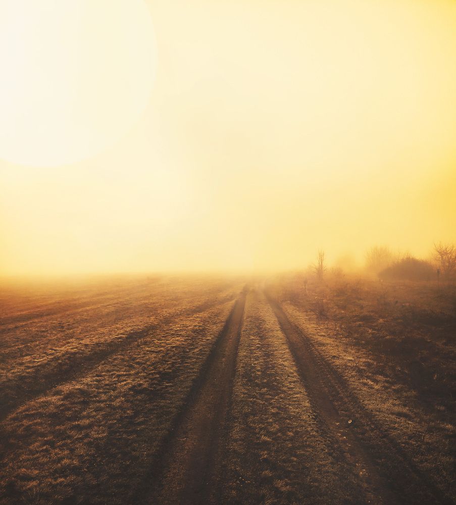 Photograph by Буданова Мария