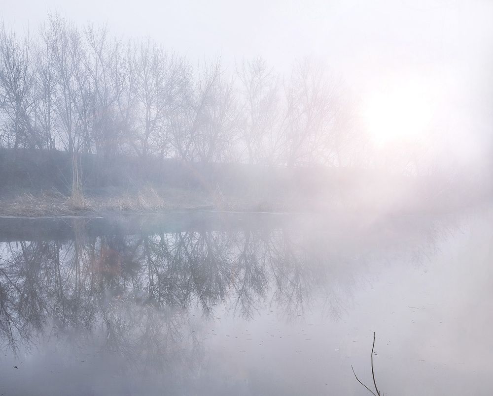 Photograph by Буданова Мария