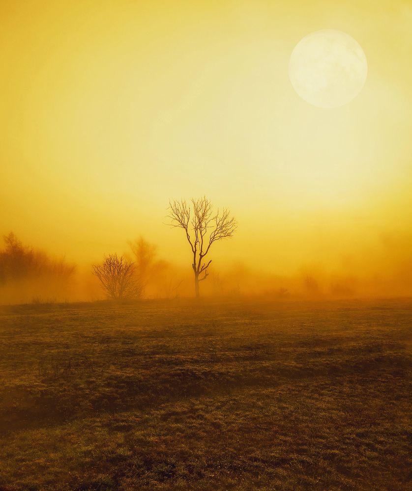 Photograph by Буданова Мария