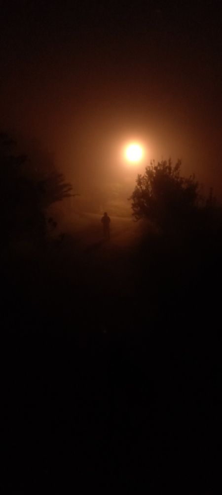 Bajo la densa neblina