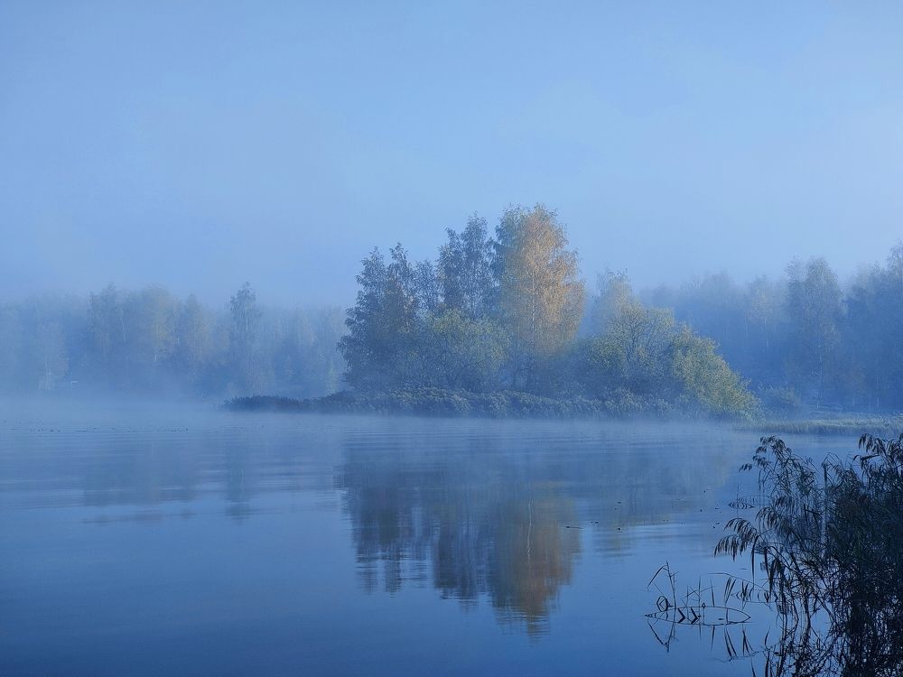 Photograph by Елена Верховская