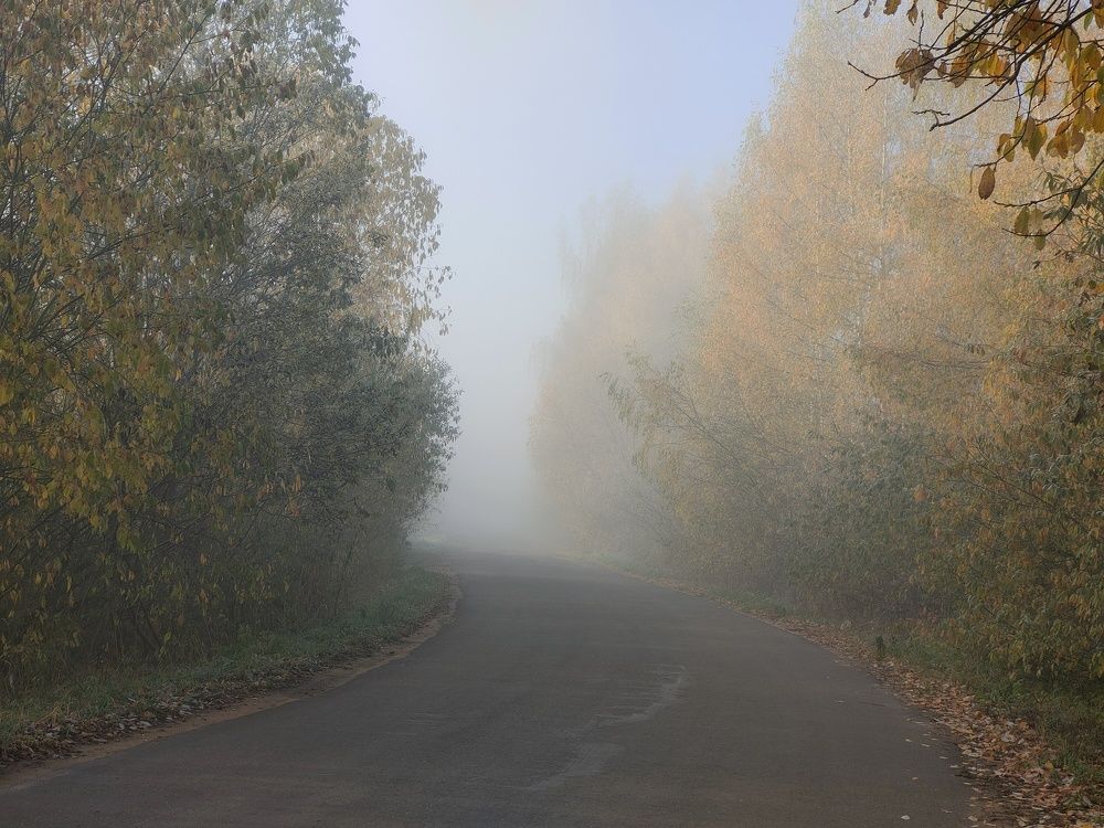 Photograph by Елена Верховская