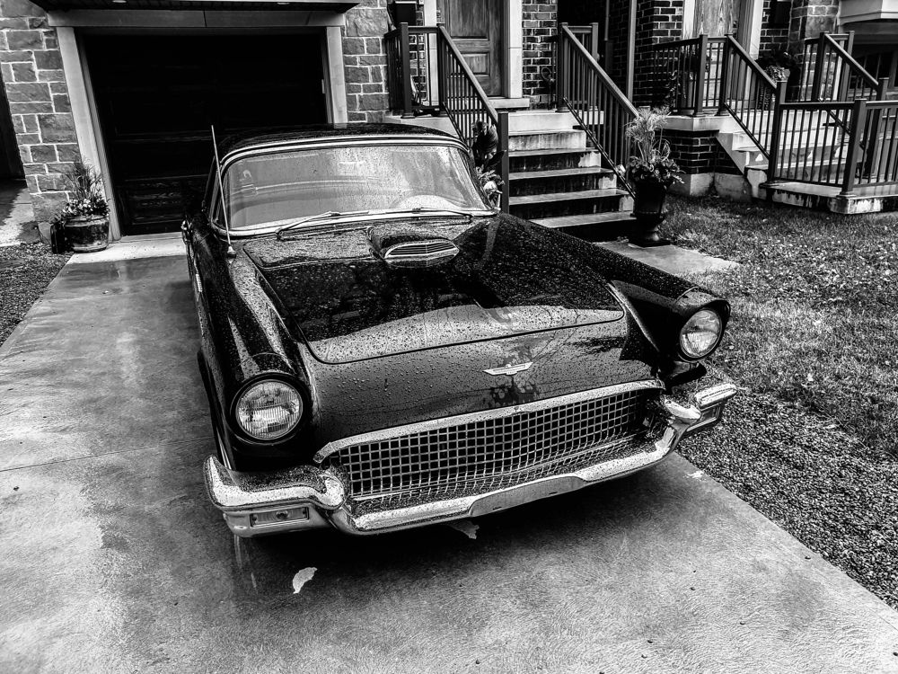 Photograph by Aleksandra