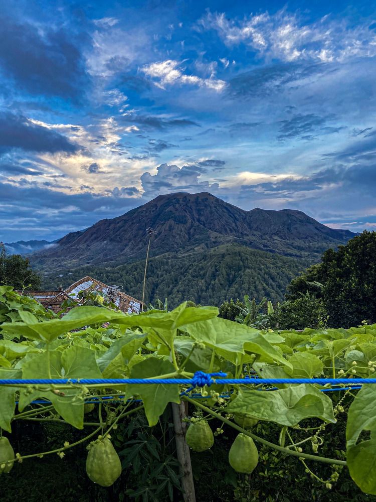 Photograph by Иван Весельников