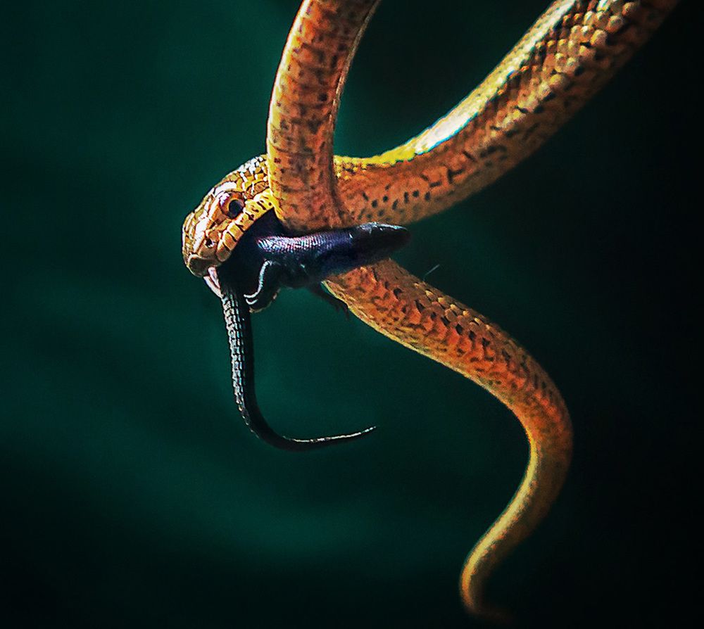 Photograph by Анатолий Веремеев