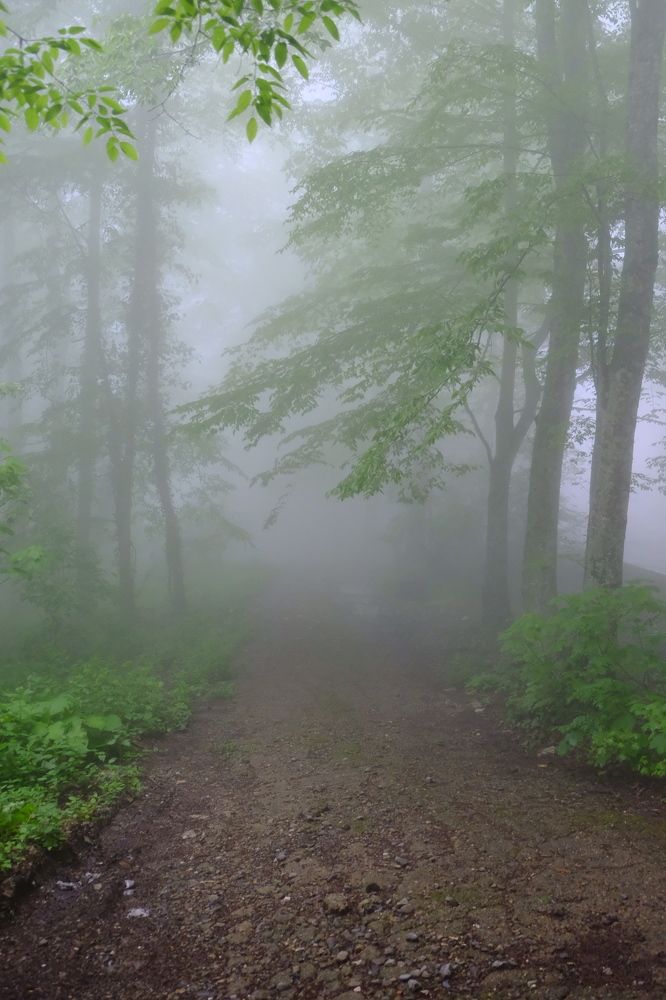 Photograph by Илья Панкратов