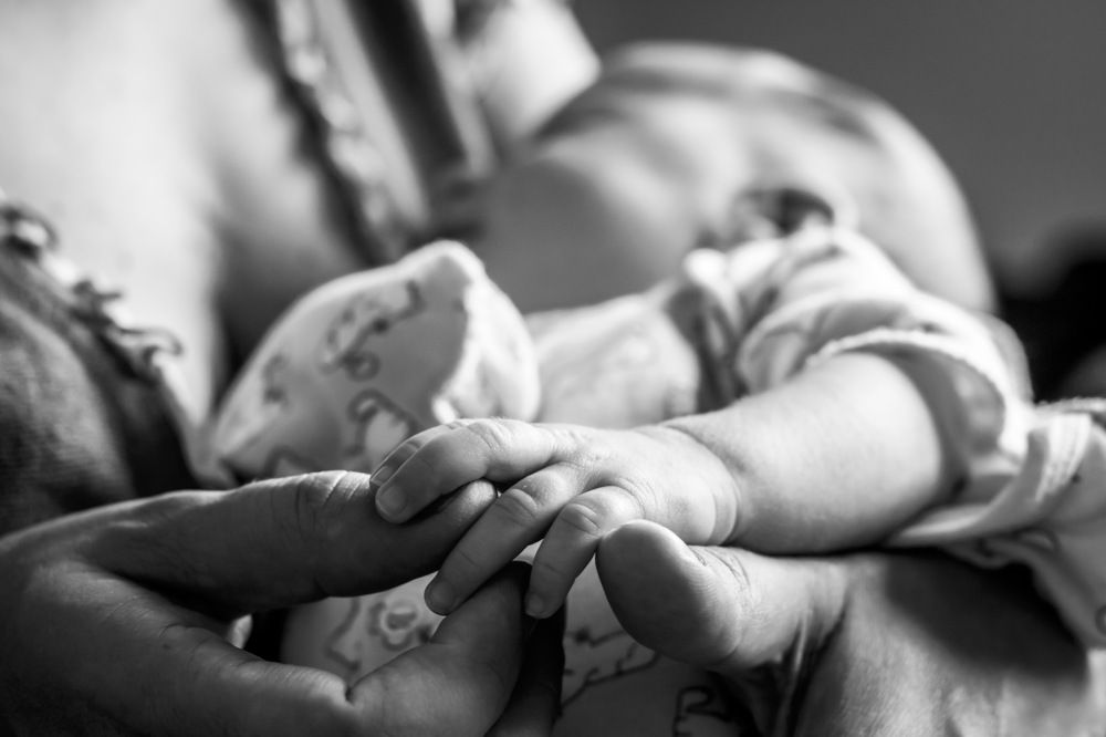 Photograph by Ольга Золототрубова