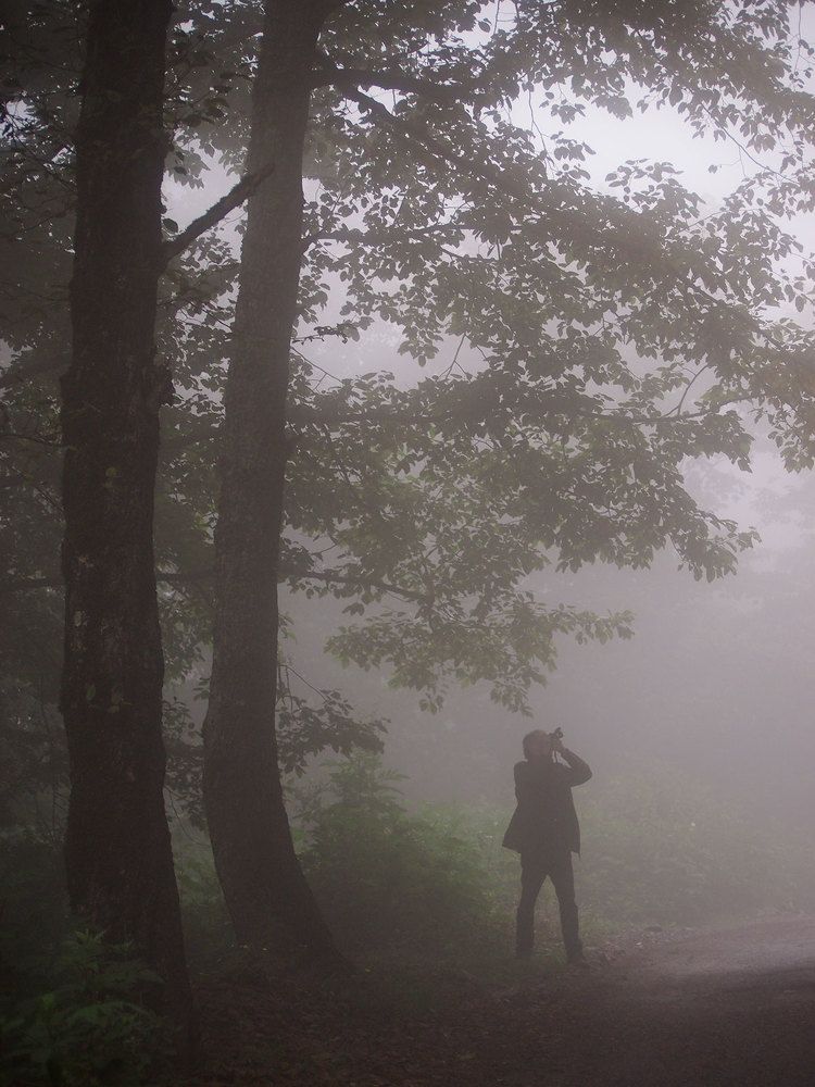 Photograph by Farid Ataei