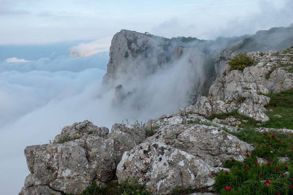 Photograph by Андрей Гусаченко