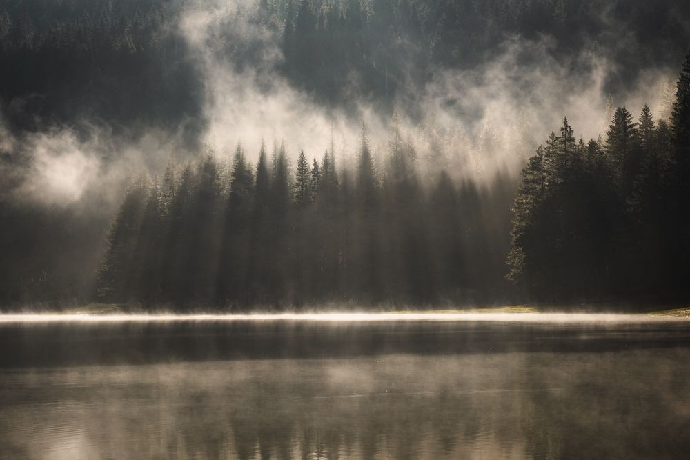 Photograph by Dejan Zakic