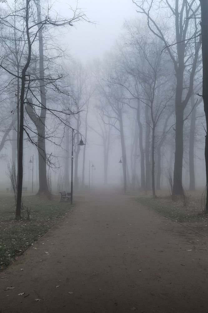 Photograph by Алексей Еремеев