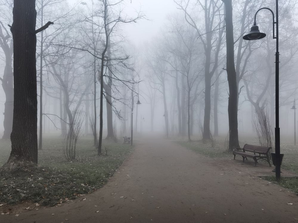 Photograph by Алексей Еремеев