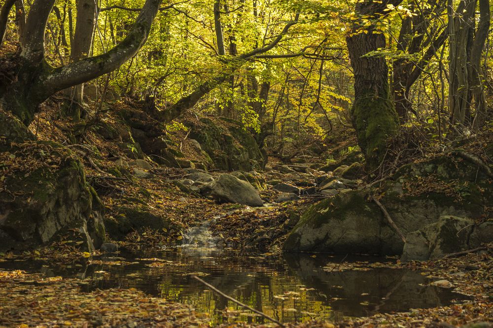 Photograph by Nikolay Dimitrov