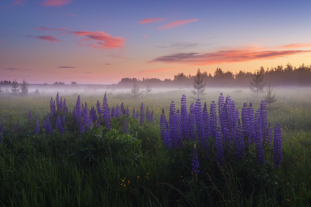 Photograph by Чаланов Иван