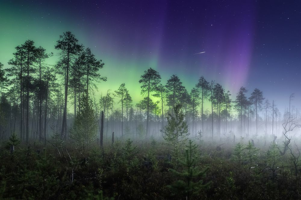 Photograph by Иван Чаланов