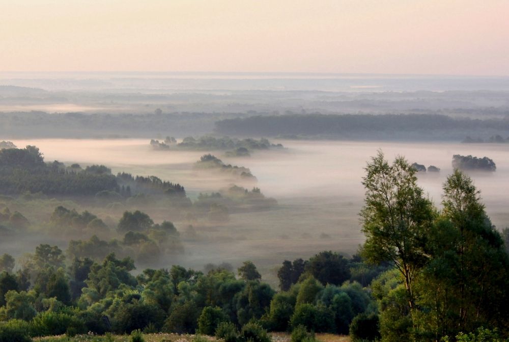 Туман на Суре