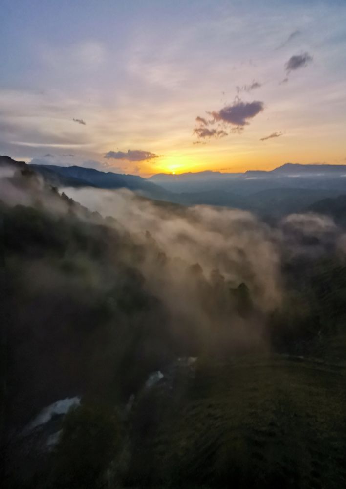 Photograph by Светлана Салмина