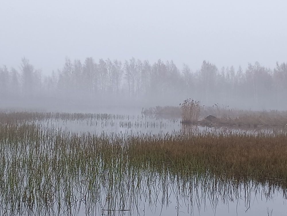 Утро на озере