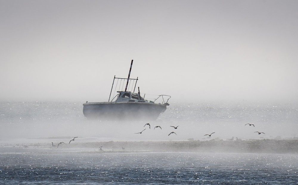 Photograph by Davor Goll