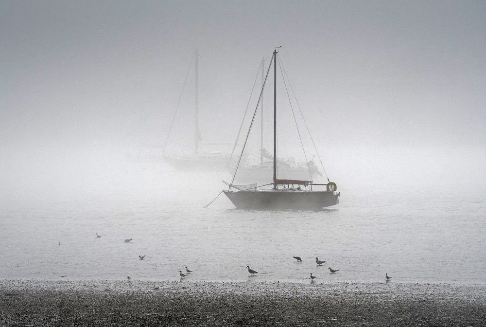 Photograph by Davor Goll