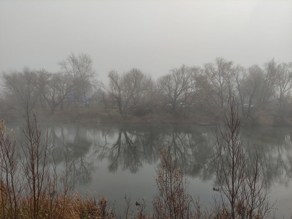 Photograph by Татьяна Штунь