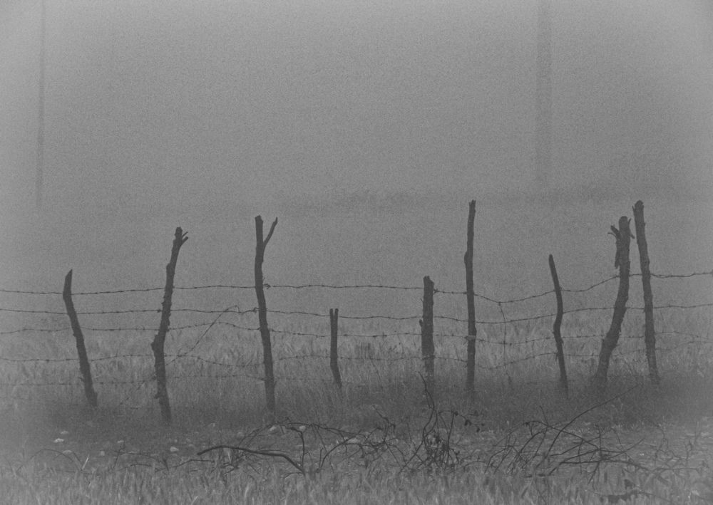 Photograph by Siavash Shomali