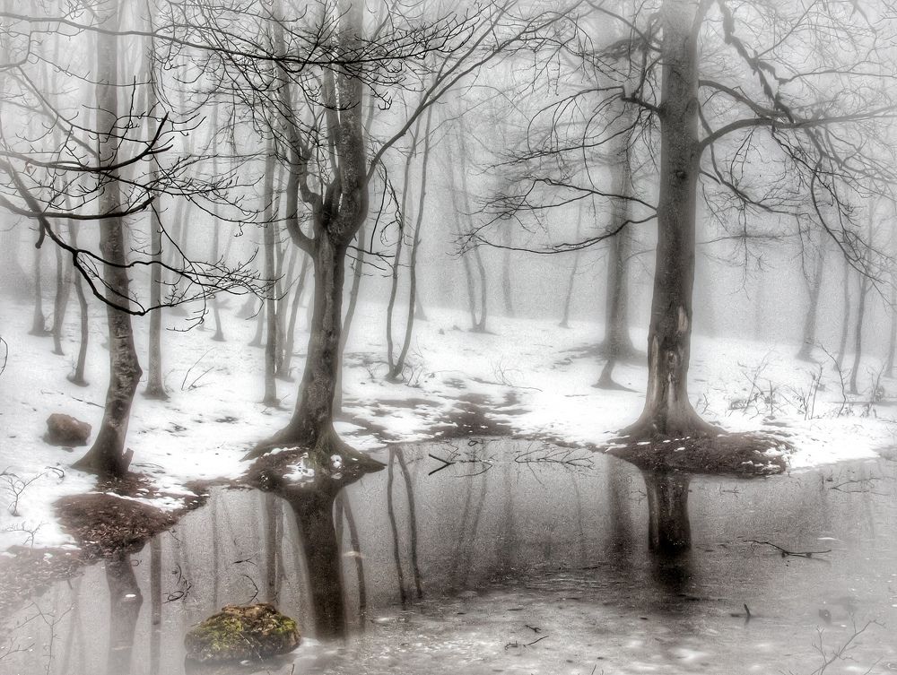 Photograph by Siavash Shomali