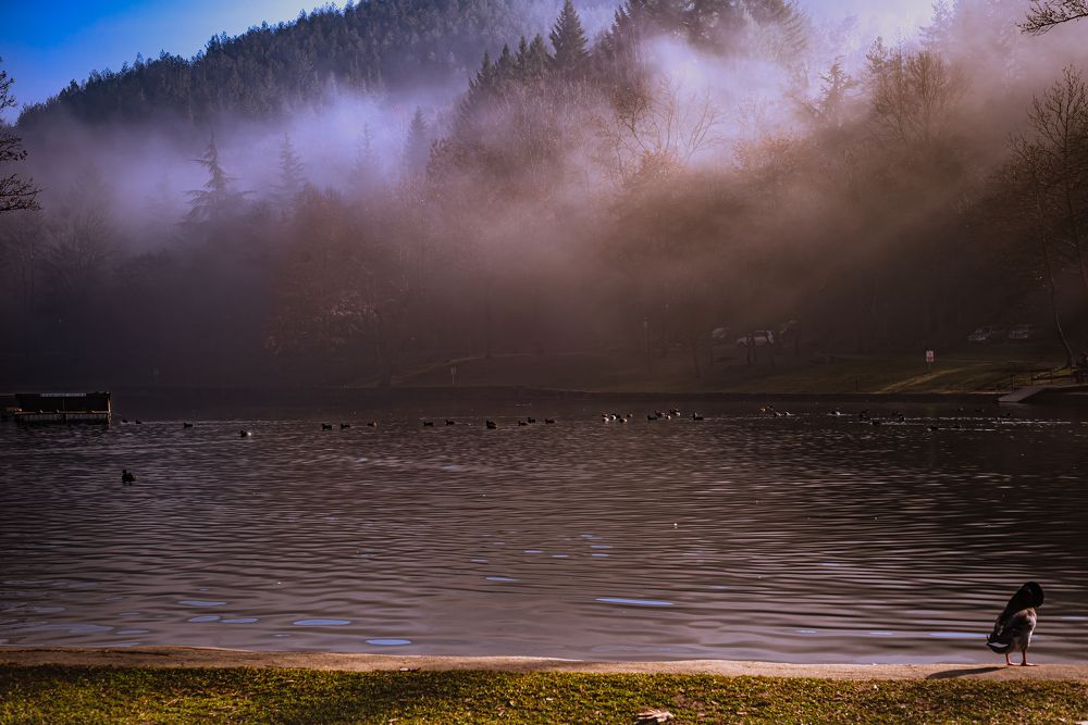 Photograph by Христо Колев