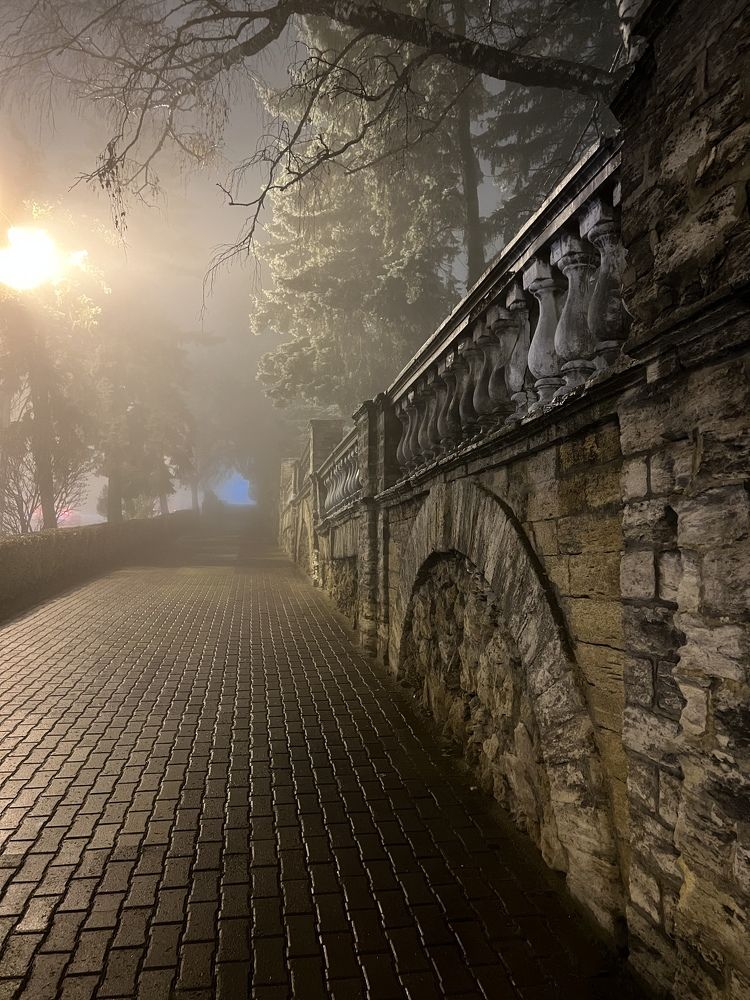 Photograph by Лариса