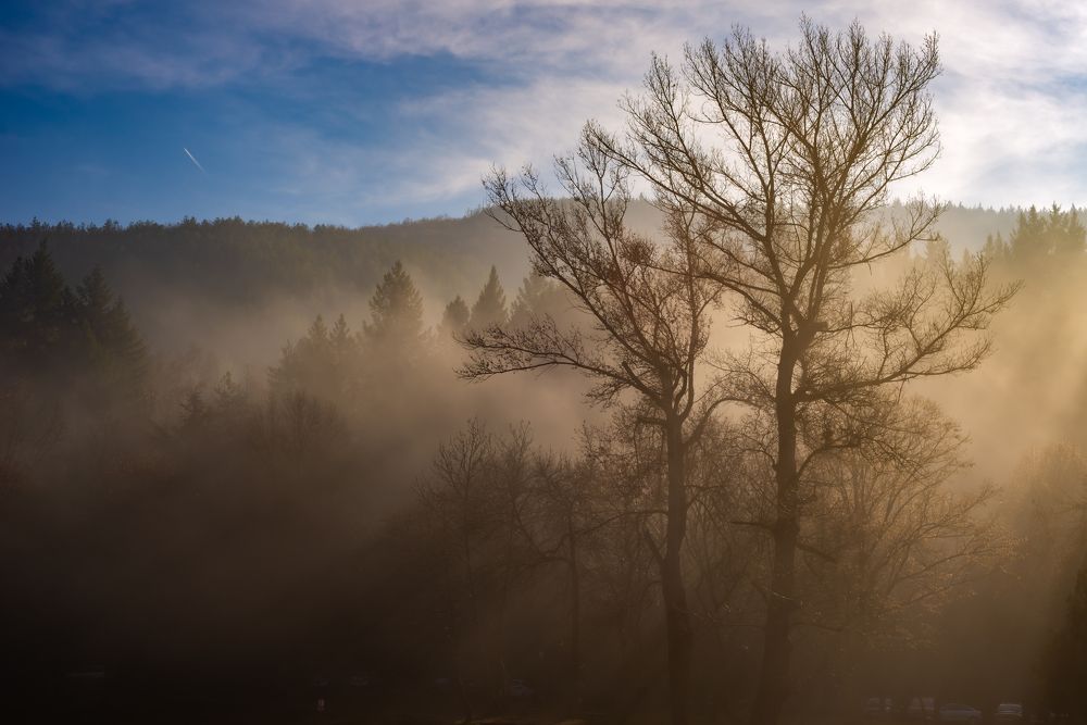 Photograph by Христо Колев