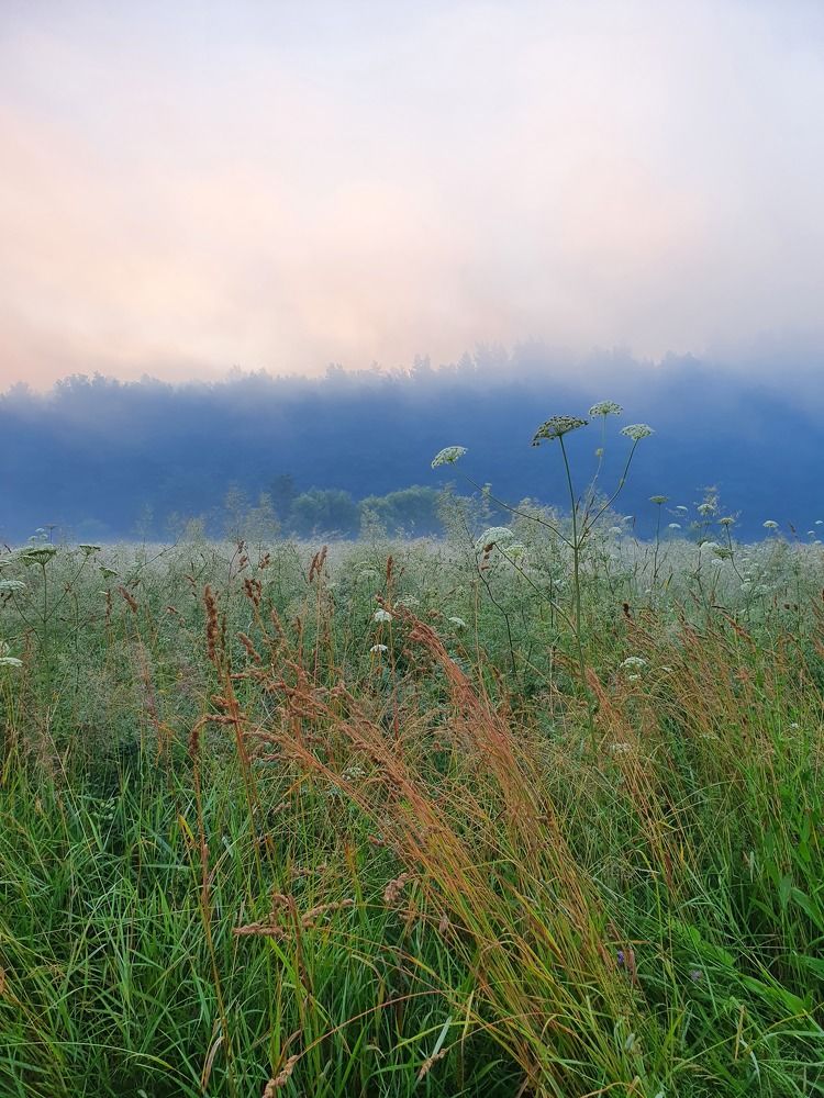 Photograph by Анастасия Езепчук