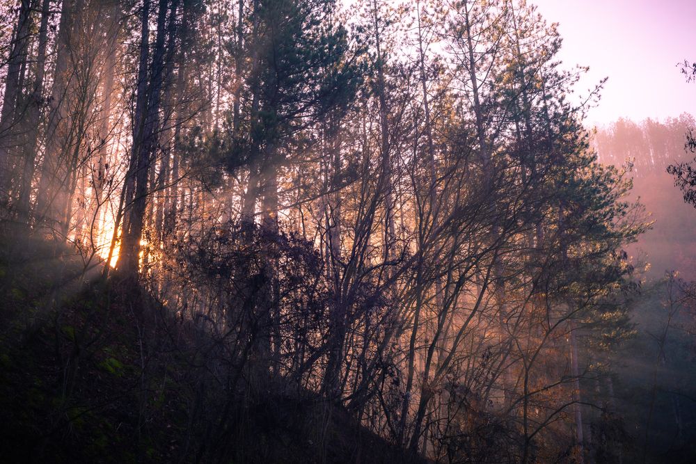 Photograph by Христо Колев