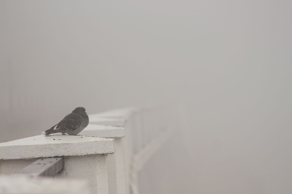 Photograph by Иван Полиненко