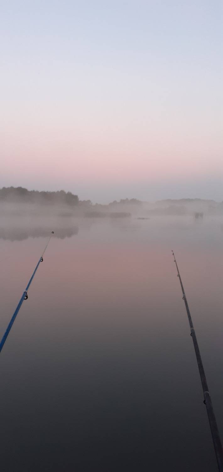 Photo #9164898
