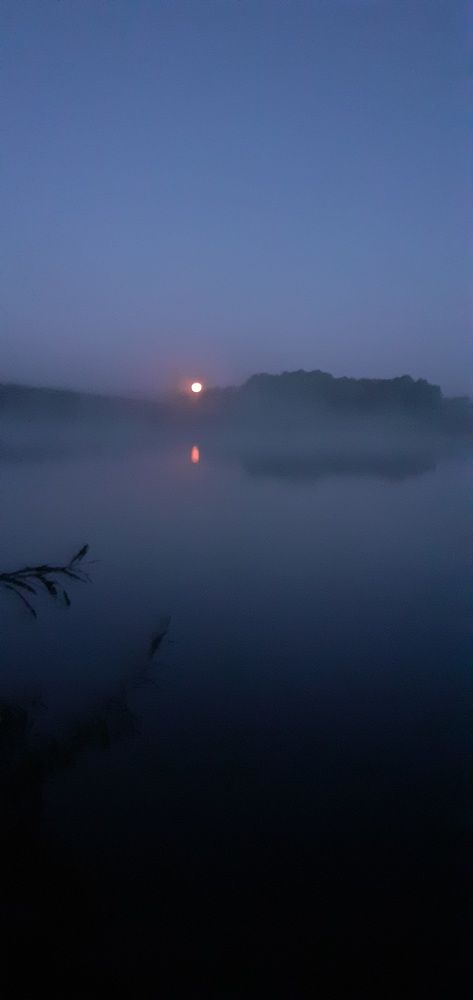 Photograph by Андрей Денисов