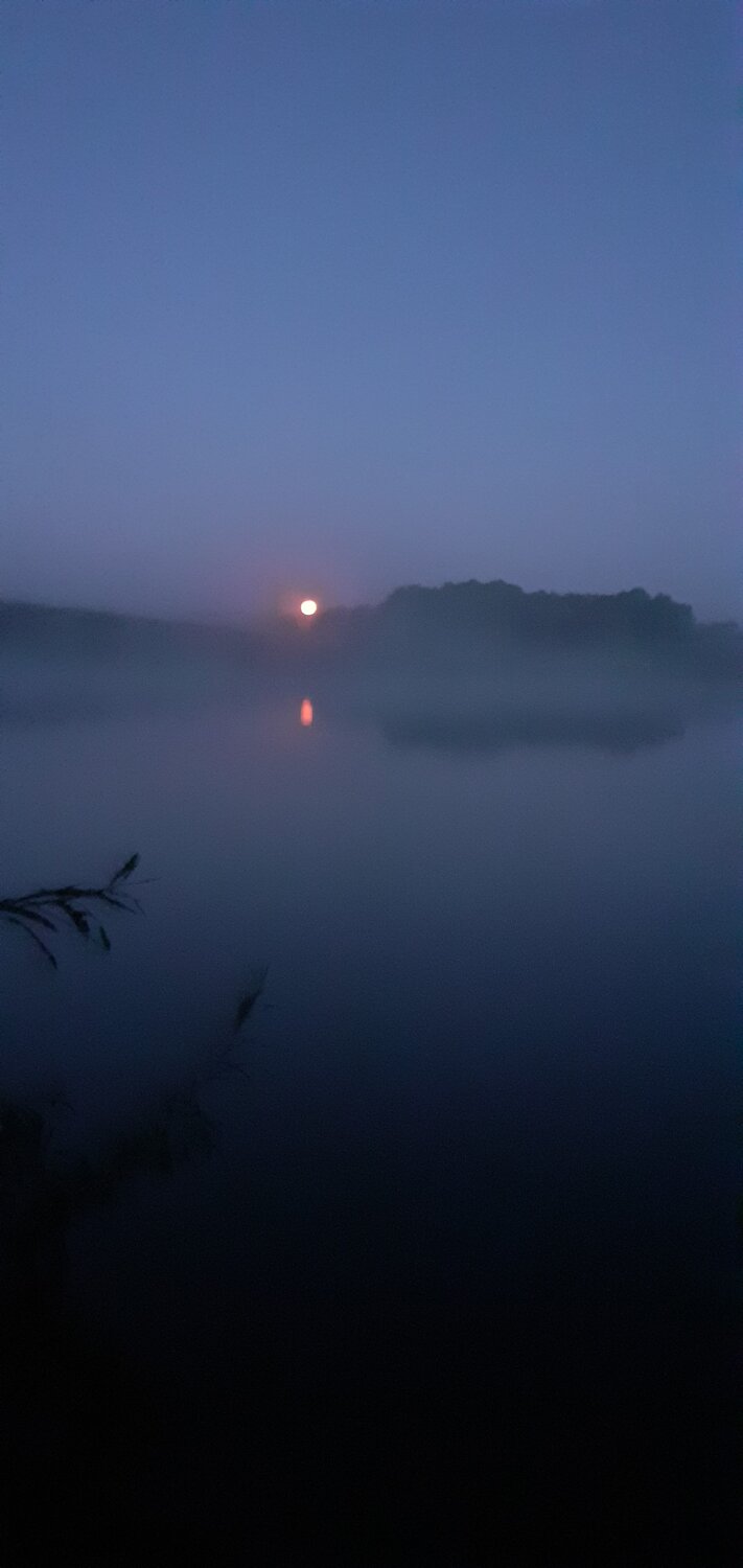 Photo #9164905