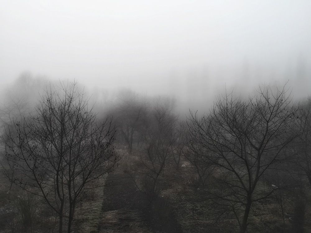 Photograph by Олександр Мирончук