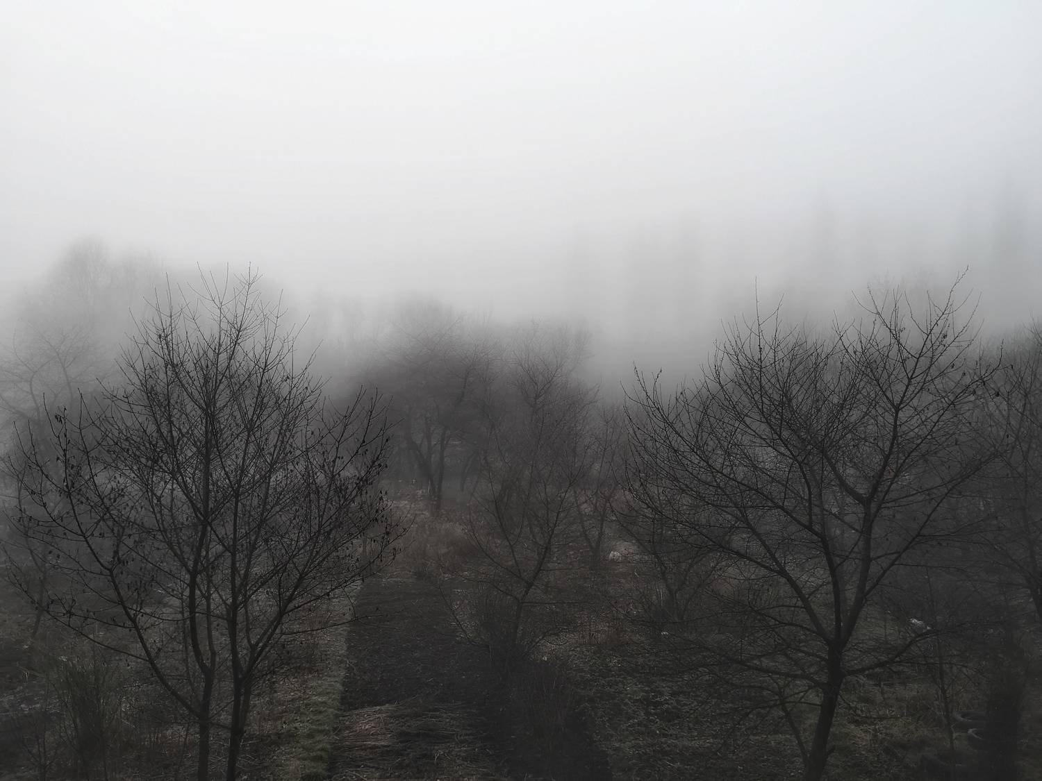 Photo #9164911