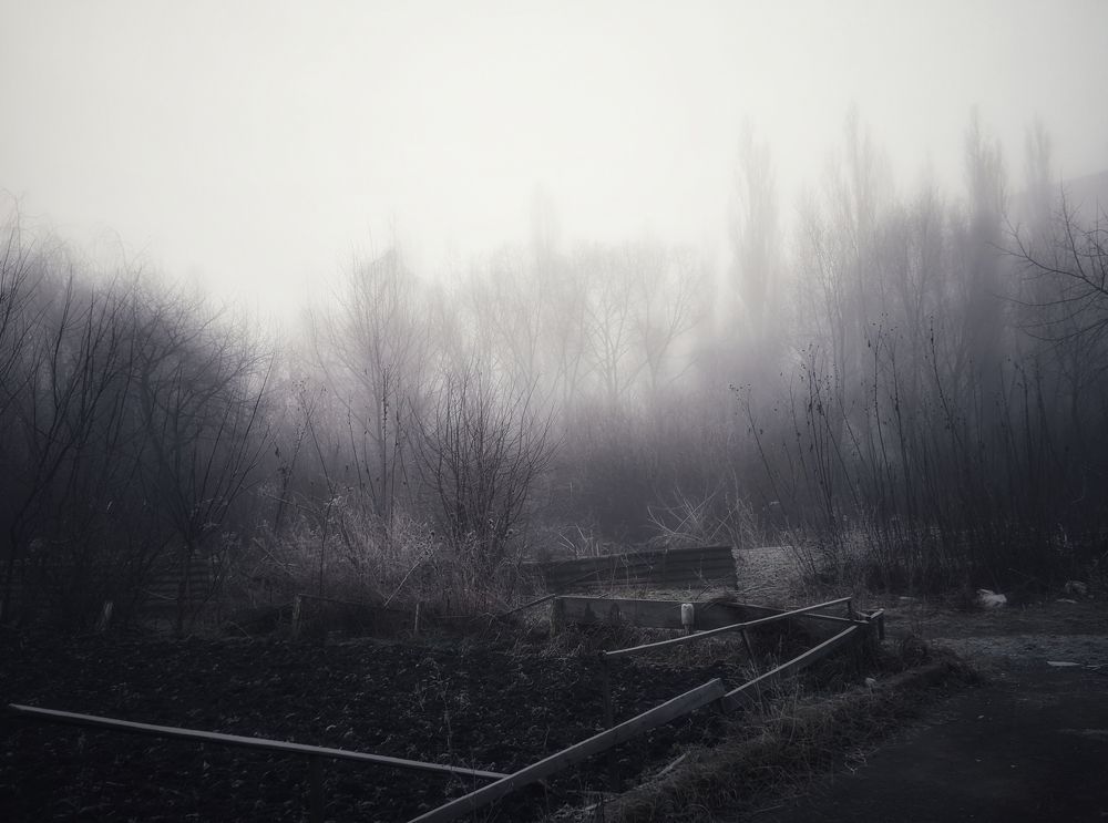 Photograph by Олександр Мирончук