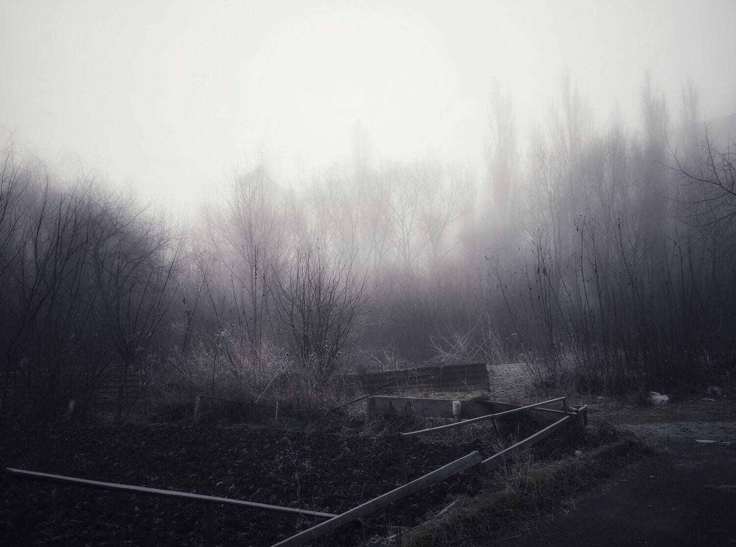 Photo #9164915