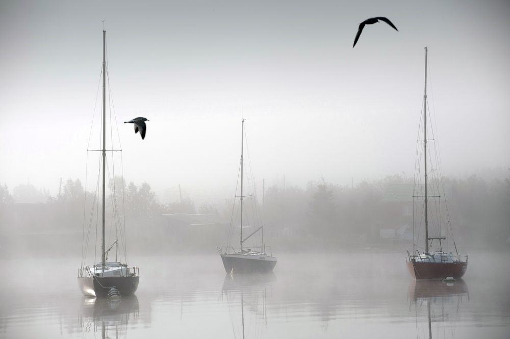 Photograph by ARTEM KORZHUKOV